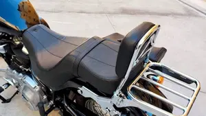 Harley-Davidson Softail Standard (2020) - FXST  (5)