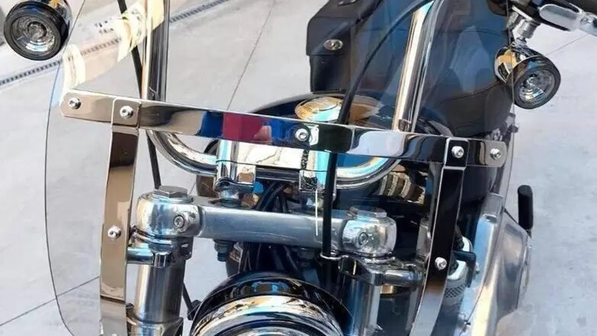Harley-Davidson Softail Standard (2020) - FXST  (6)