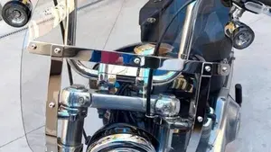 Harley-Davidson Softail Standard (2020) - FXST  (6)