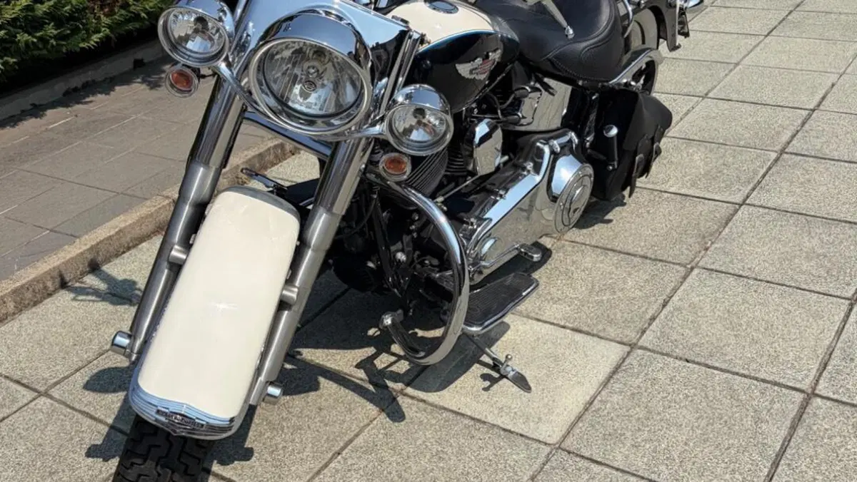 Harley-Davidson 1690 Deluxe ABS (2011 - 16) - FLSTN  (2)