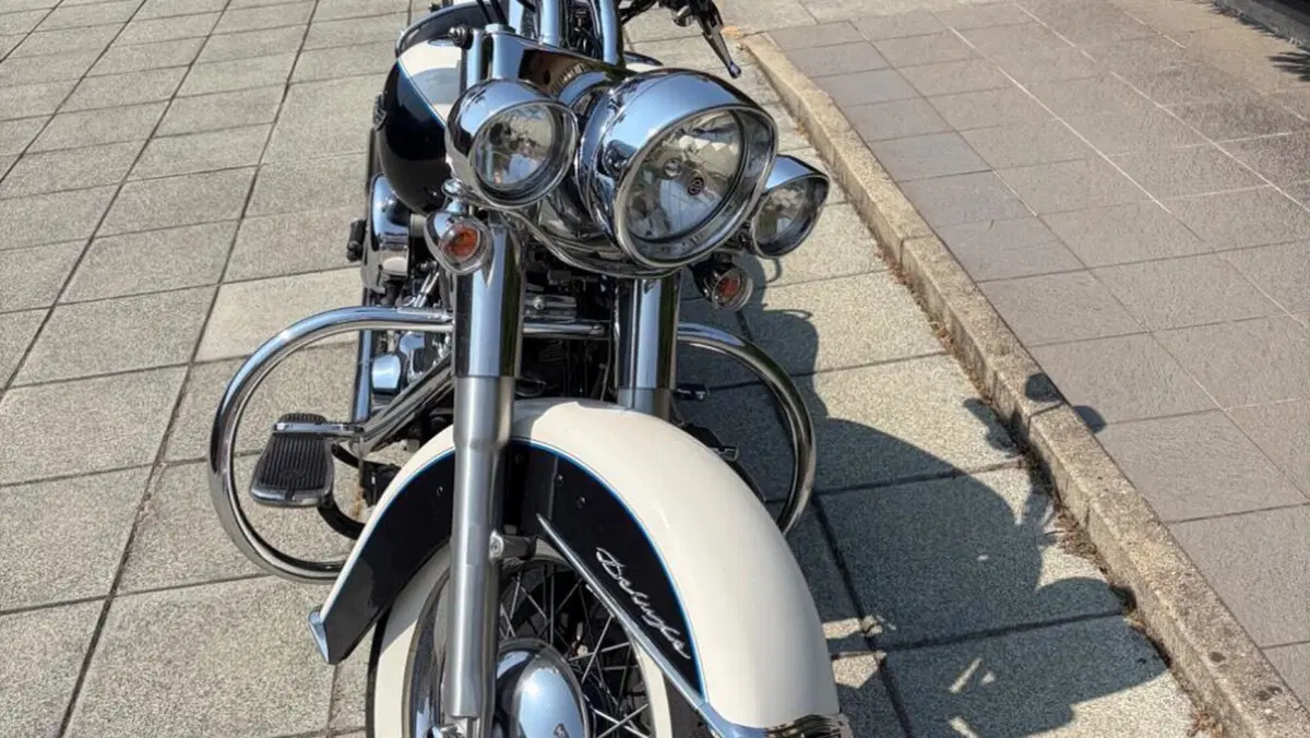 Harley-Davidson 1690 Deluxe ABS (2011 - 16) - FLSTN  (9)