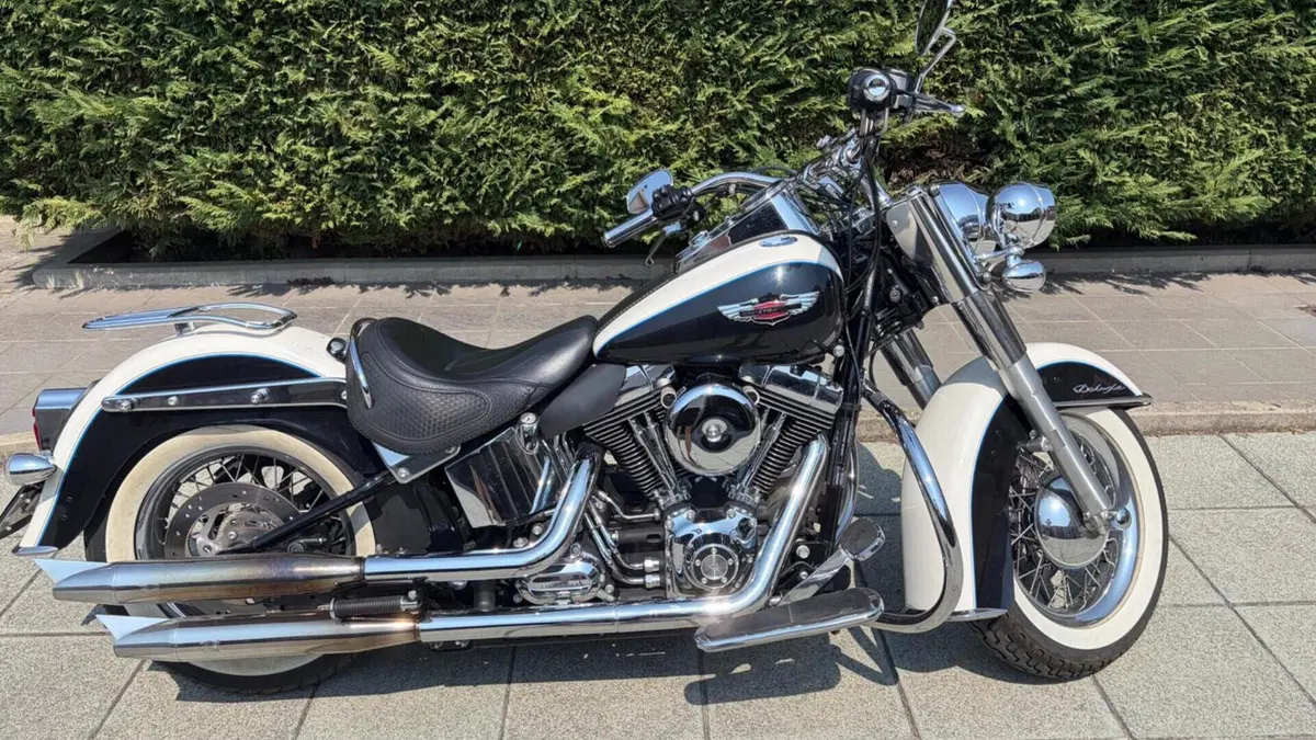 Harley-Davidson 1690 Deluxe ABS (2011 - 16) - FLSTN  (3)