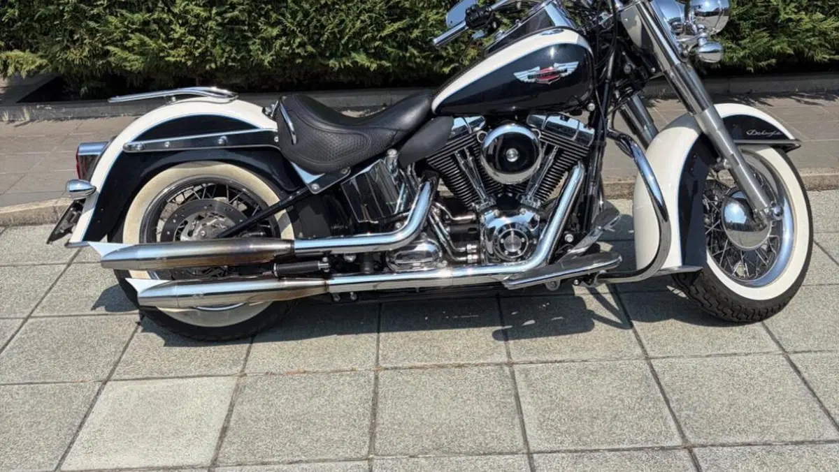 Harley-Davidson 1690 Deluxe ABS (2011 - 16) - FLSTN  (10)