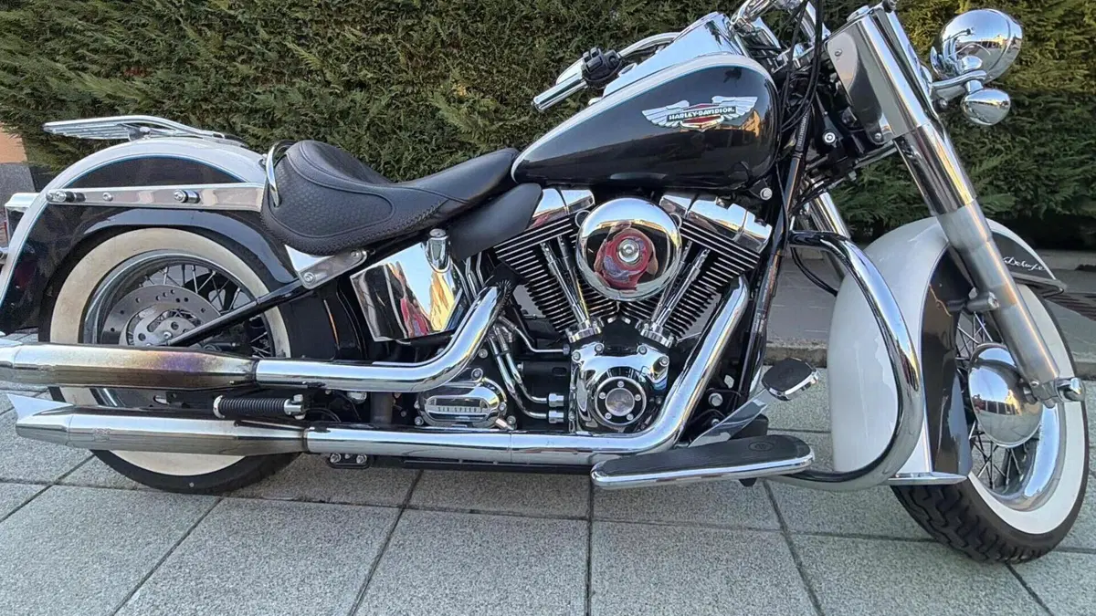 Harley-Davidson 1690 Deluxe ABS (2011 - 16) - FLSTN  (12)