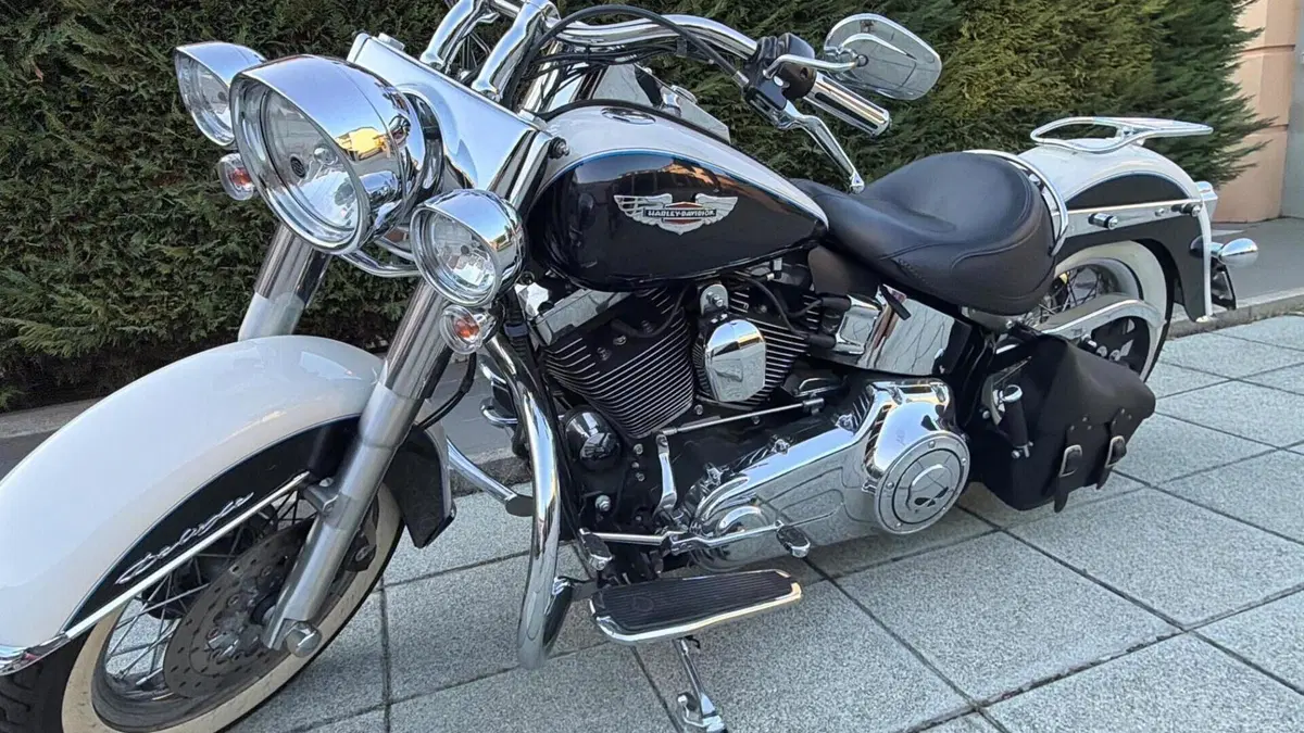 Harley-Davidson 1690 Deluxe ABS (2011 - 16) - FLSTN  (13)