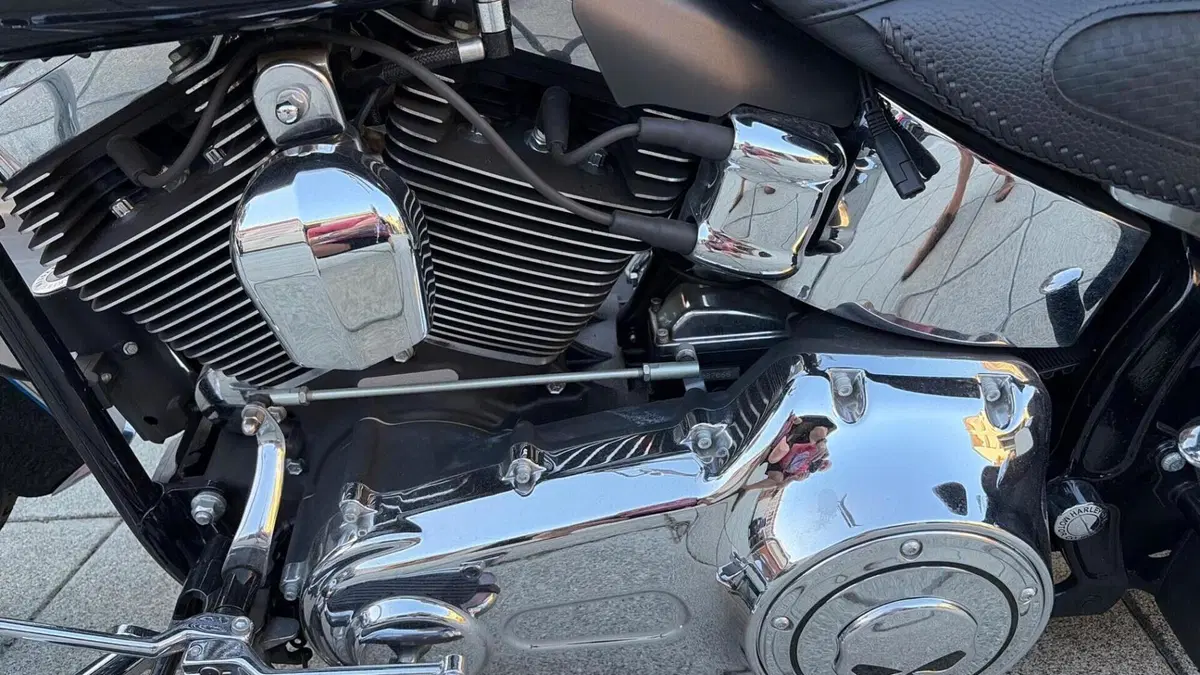 Harley-Davidson 1690 Deluxe ABS (2011 - 16) - FLSTN  (16)