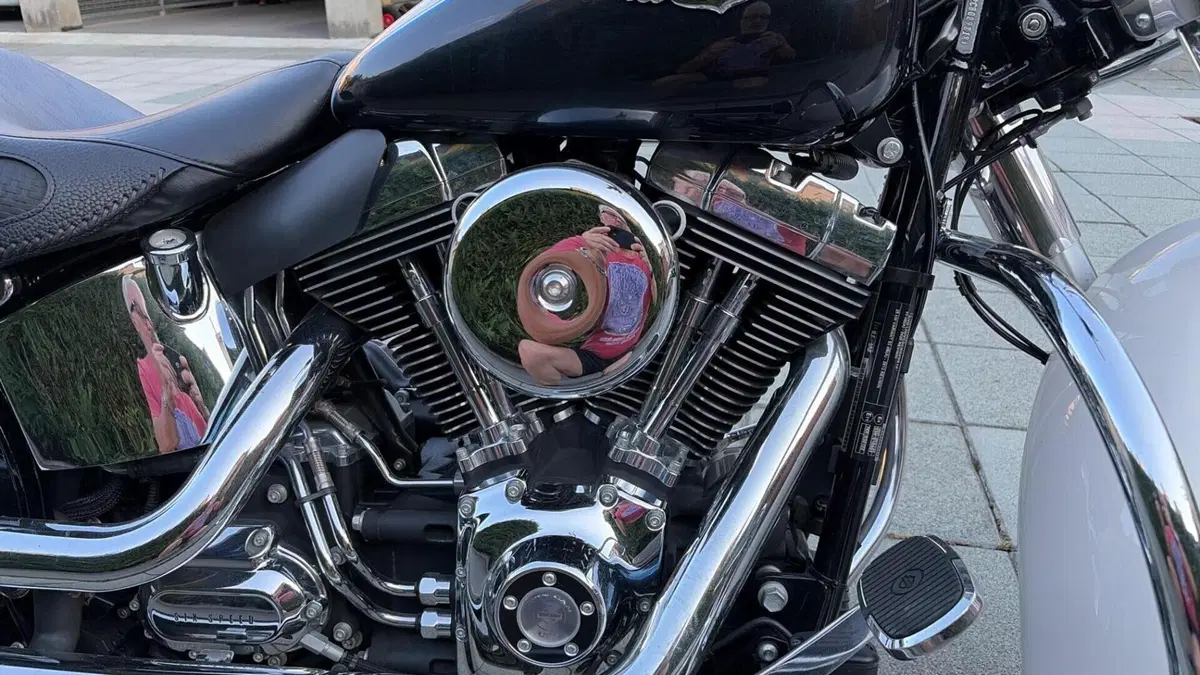 Harley-Davidson 1690 Deluxe ABS (2011 - 16) - FLSTN  (17)