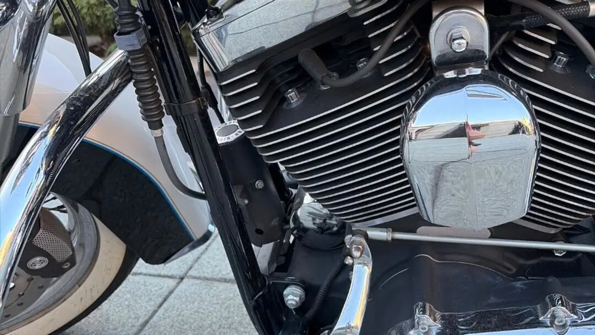 Harley-Davidson 1690 Deluxe ABS (2011 - 16) - FLSTN  (15)
