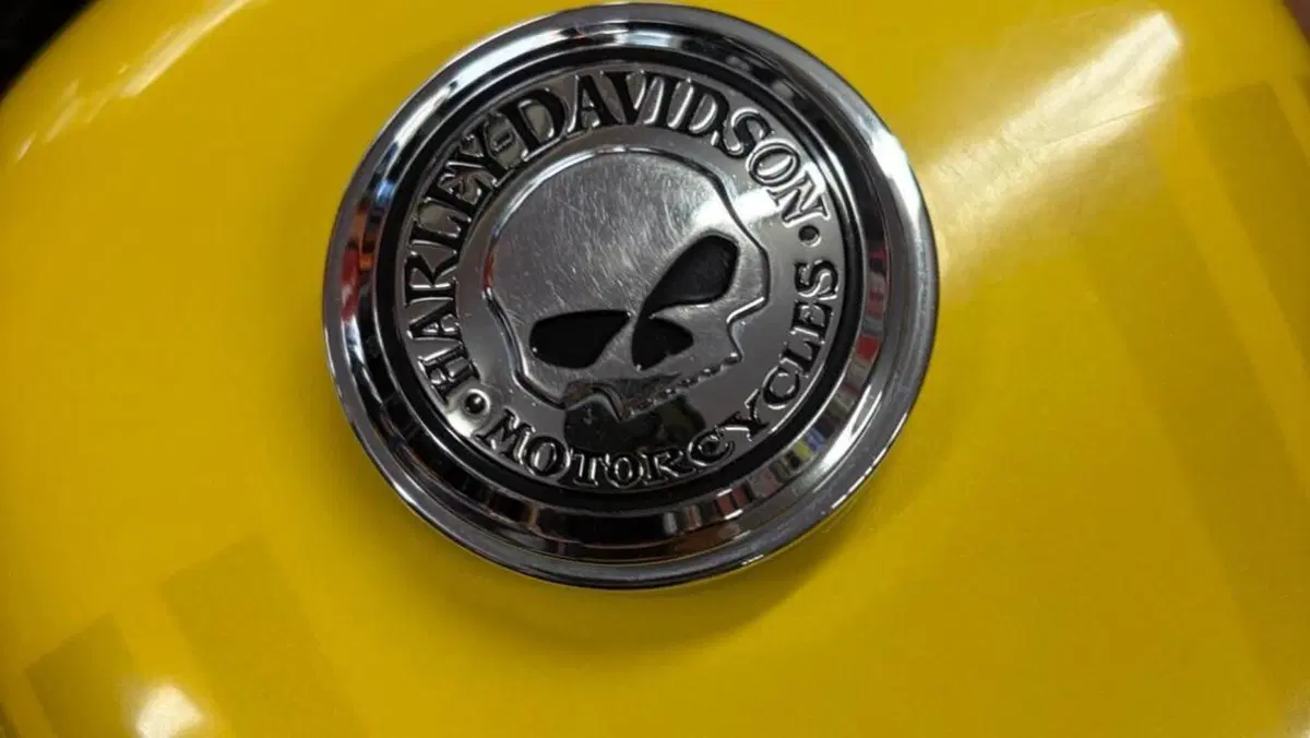 Harley-Davidson 1200 Forty-Eight (2016 - 20)  (6)