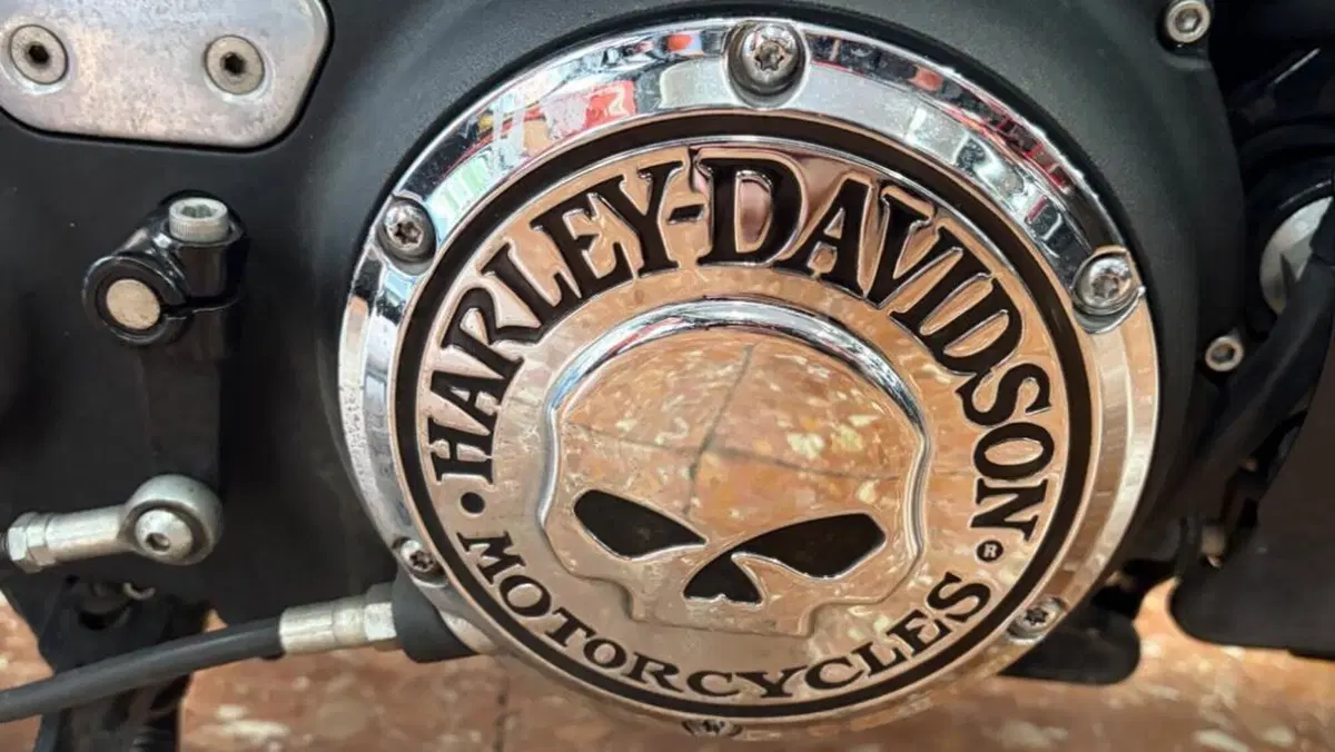 Harley-Davidson 1200 Forty-Eight (2016 - 20)  (7)