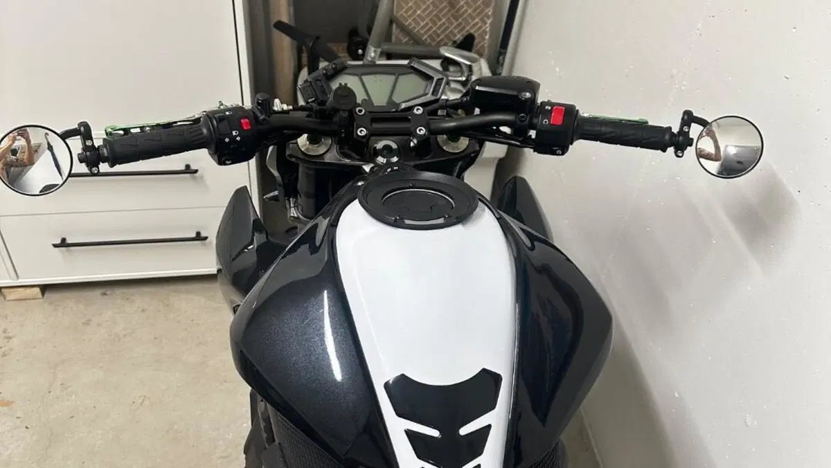 Kawasaki Z 800 ABS (2012 - 16)  (8)