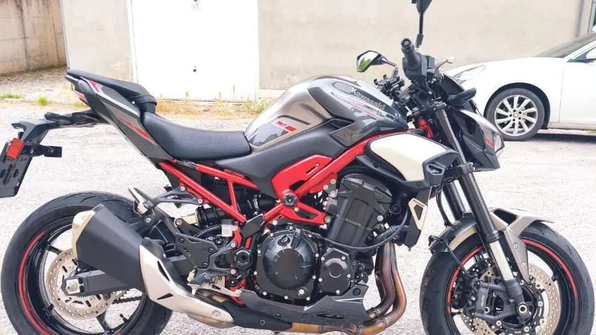 Kawasaki Z 900 (2025 - 27)  (2)