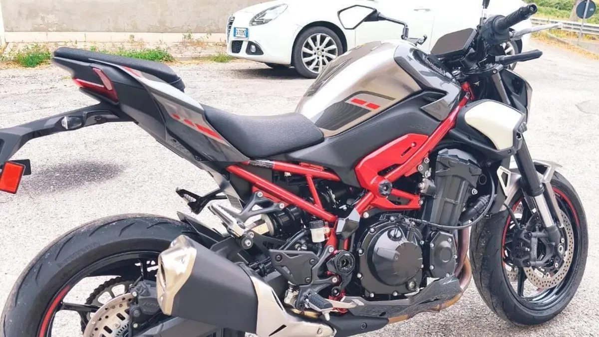 Kawasaki Z 900 (2025 - 27)  (3)