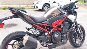 Kawasaki Z 900 (2025 - 27)  (3)