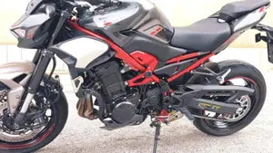 Kawasaki Z 900 (2025 - 27)  (5)