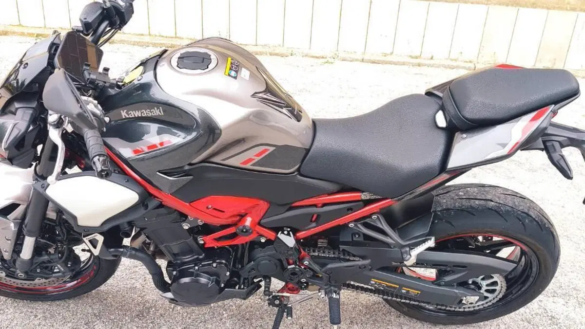 Kawasaki Z 900 (2025 - 27)  (6)