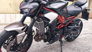 Kawasaki Z 900 (2025 - 27)  (7)