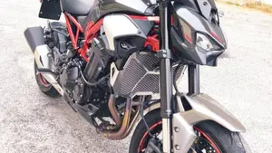 Kawasaki Z 900 (2025 - 27)  (8)