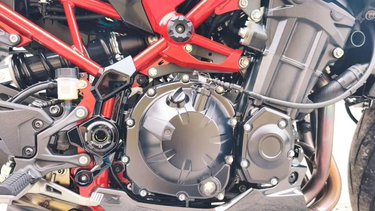 Kawasaki Z 900 (2025 - 27)  (13)