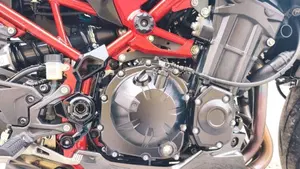 Kawasaki Z 900 (2025 - 27)  (13)