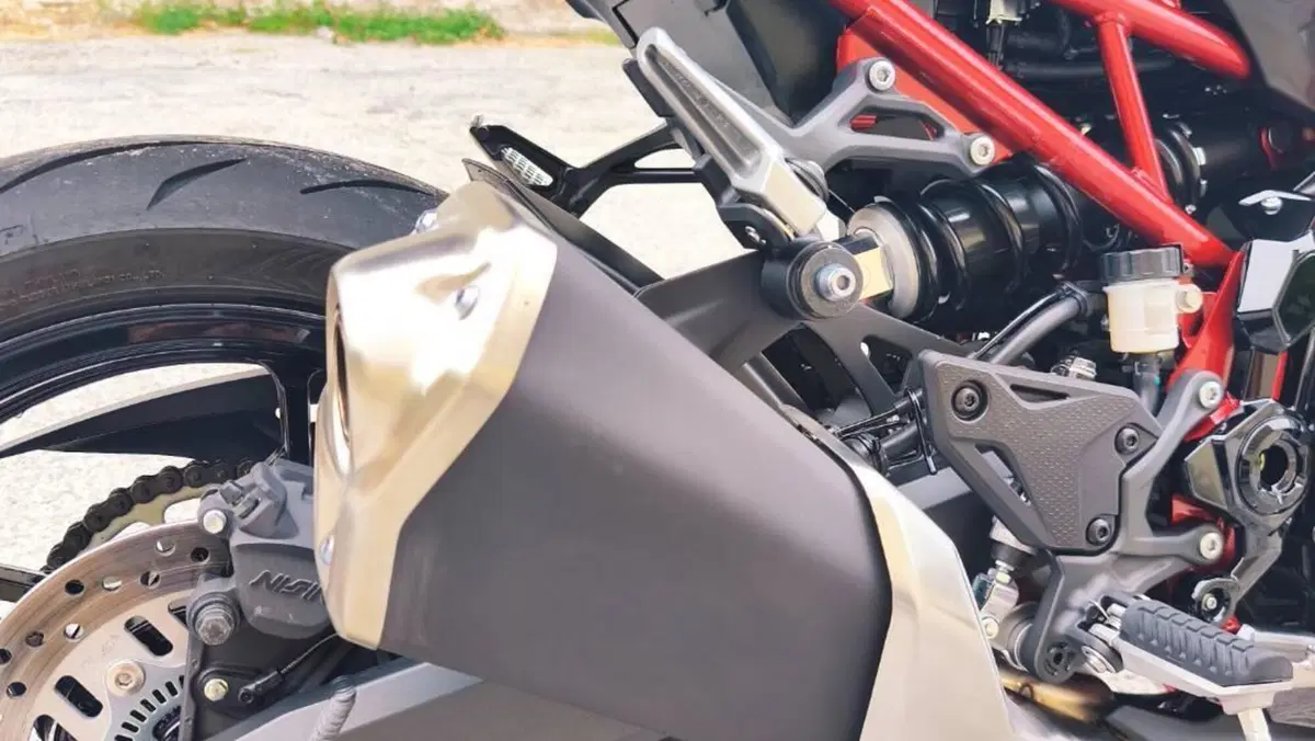 Kawasaki Z 900 (2025 - 27)  (14)