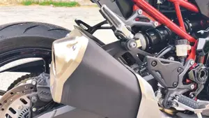 Kawasaki Z 900 (2025 - 27)  (14)