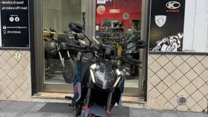 KTM 390 Duke (2024 - 25) 
