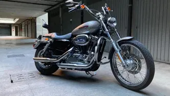 Harley-Davidson 1200 Custom (2007 - 13) - XL 1200C