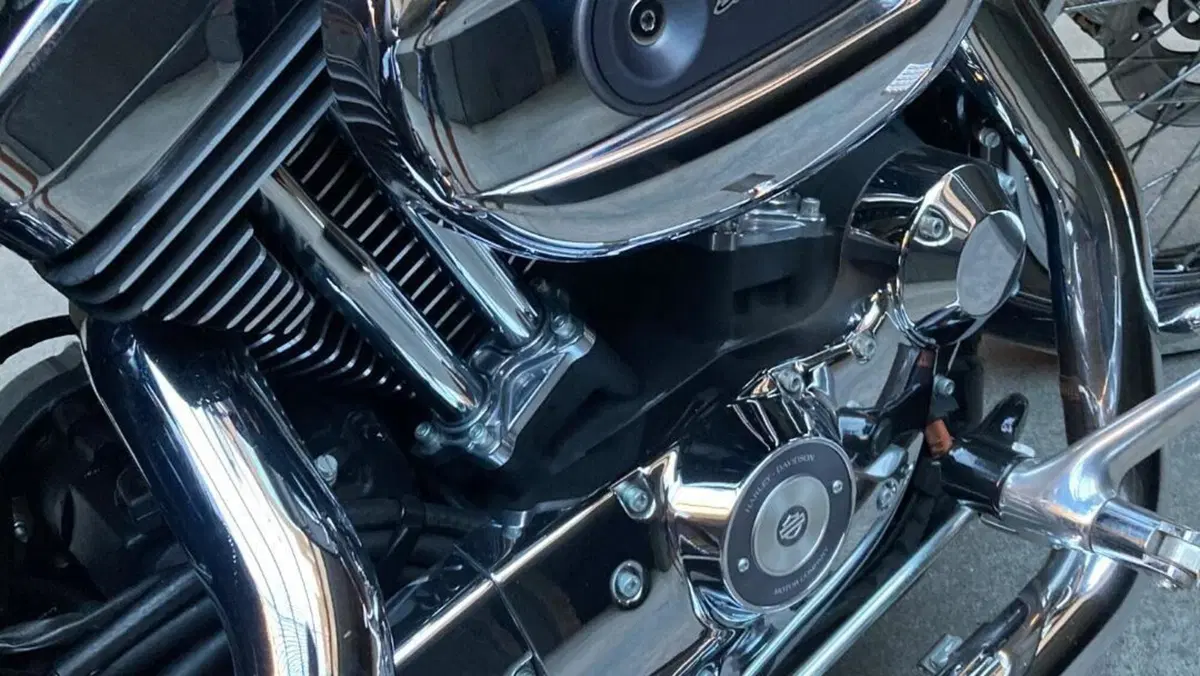 Harley-Davidson 1200 Custom (2007 - 13) - XL 1200C  (3)