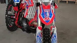 Betamotor RR 250 2T Enduro Racing (2019)  (2)