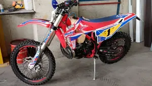 Betamotor RR 250 2T Enduro Racing (2019)  (3)