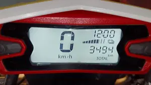 Betamotor RR 250 2T Enduro Racing (2019)  (5)