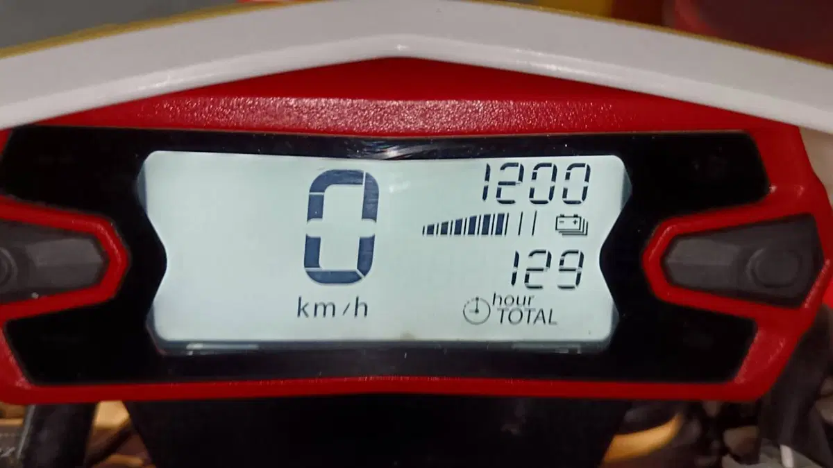 Betamotor RR 250 2T Enduro Racing (2019)  (6)