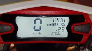 Betamotor RR 250 2T Enduro Racing (2019)  (6)