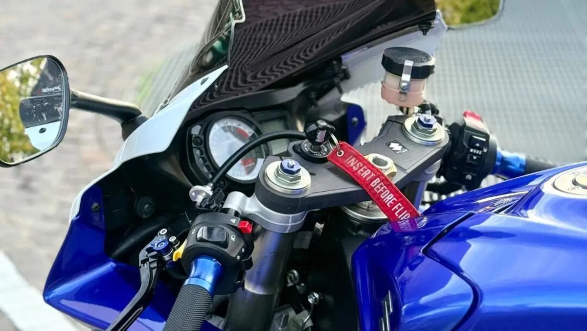 Suzuki GSX R 600 (2008 - 10)  (14)