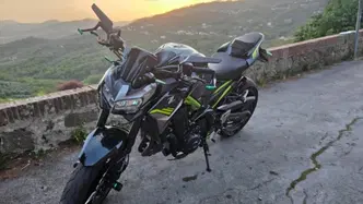 Kawasaki Z 900 (2021 - 24)