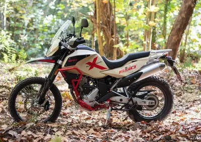 Swm Superdual 600 X (2025 - 26) - Annuncio 10139016
