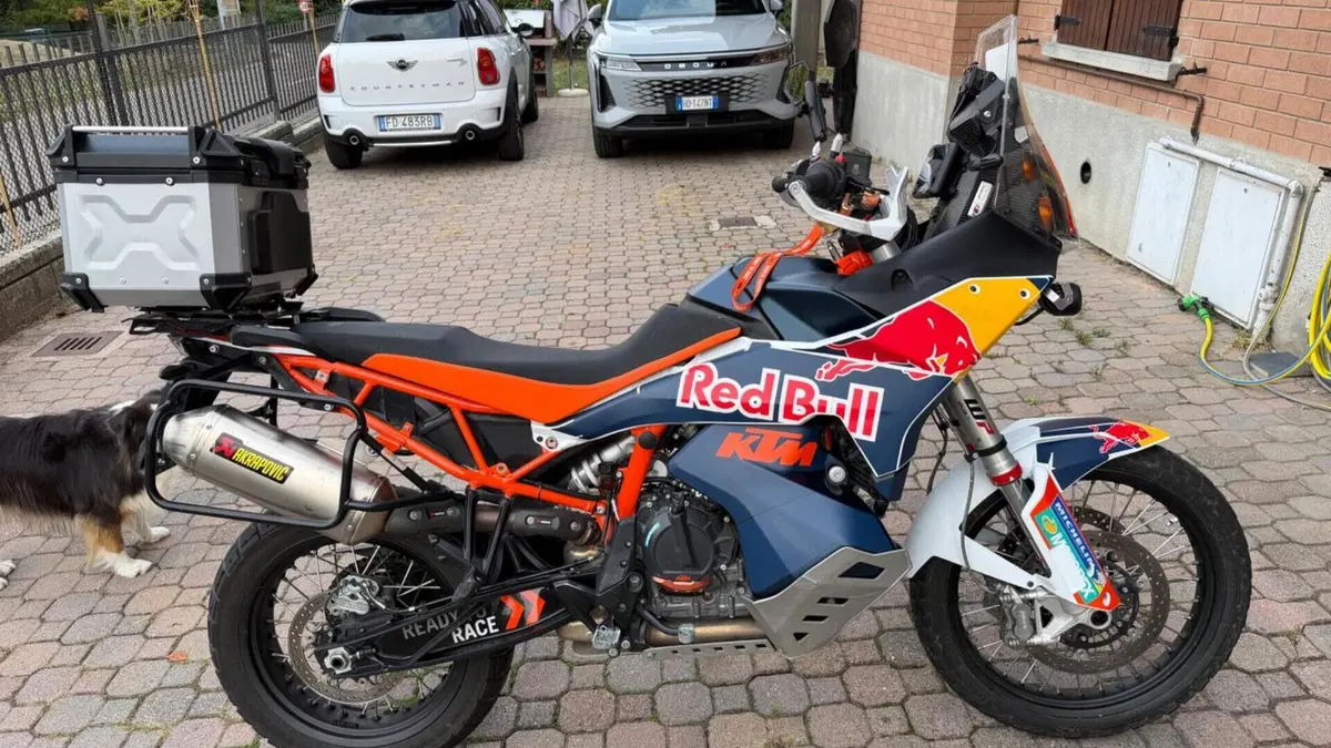 KTM 890 Adventure R (2023 - 24)  (11)