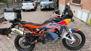 KTM 890 Adventure R (2023 - 24)  (11)