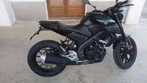 Yamaha MT-125 ABS (2020)  (3)