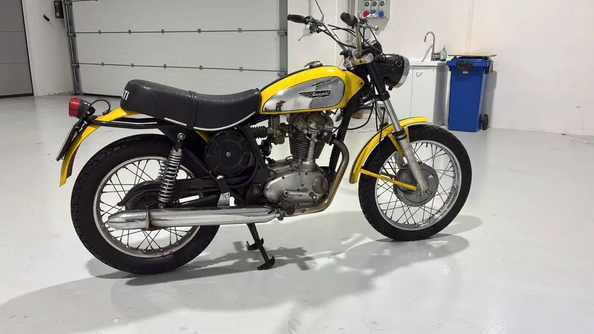 Ducati   (3)