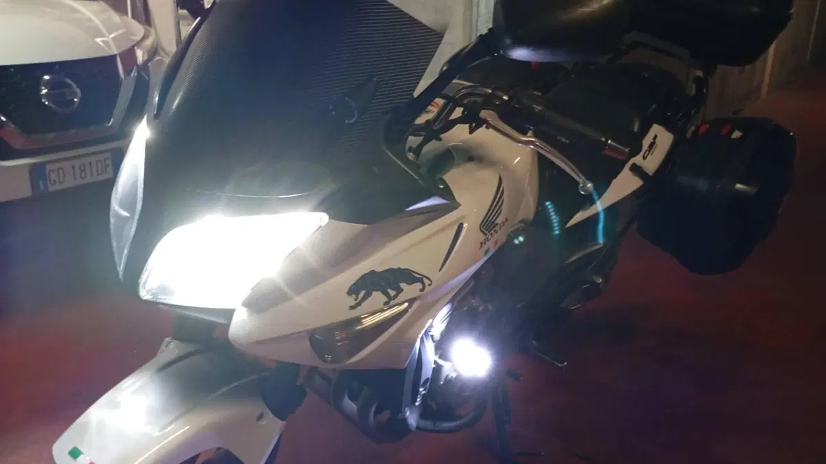 Honda CBF 600 S (2007 - 12)  (5)