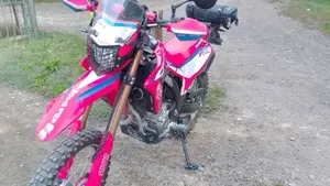 Honda CRF 300L (2021 - 24)  (2)