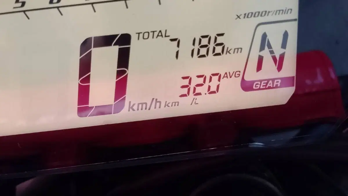 Honda CRF 300L (2021 - 24)  (3)