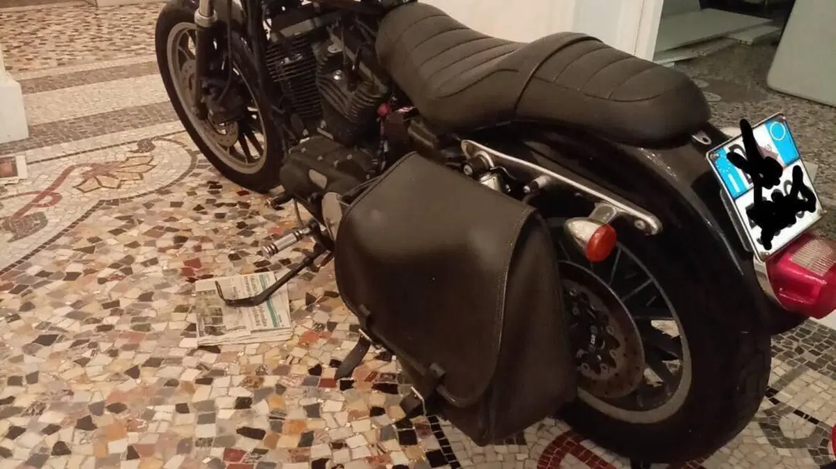 Harley-Davidson 883 (2008 - 09) - XL  (3)