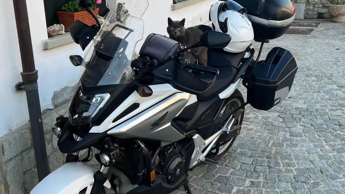 Honda NC 750 X DCT ABS (2018 - 20)  (5)