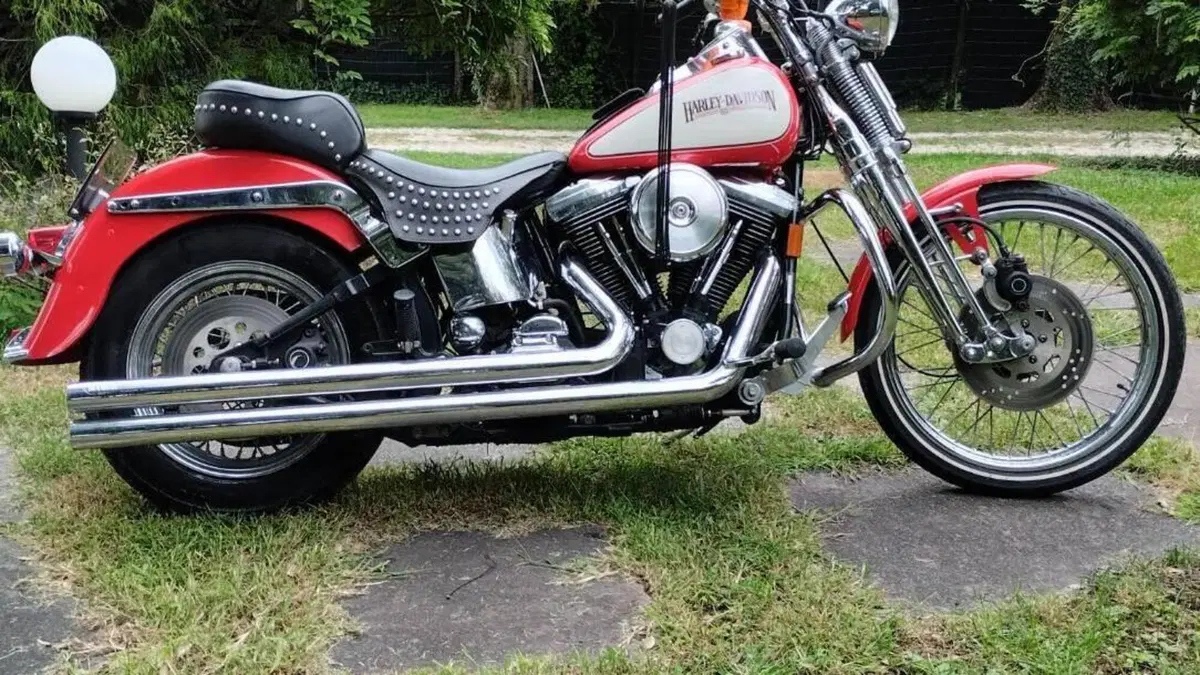 Harley-Davidson 1340 Springer (1990 - 98) - FXSTS  (2)