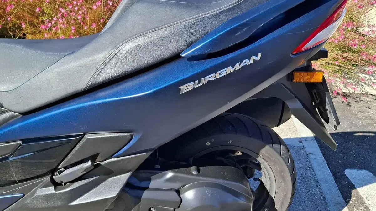 Suzuki Burgman AN 400 (2017 - 20)  (8)