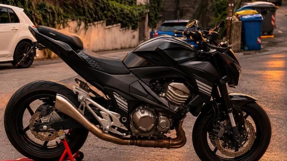 Kawasaki Z 800 Performance (2013 - 13) 
