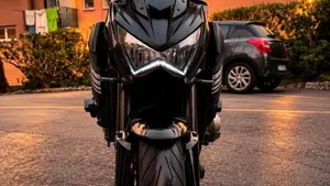 Kawasaki Z 800 Performance (2013 - 13)  (2)